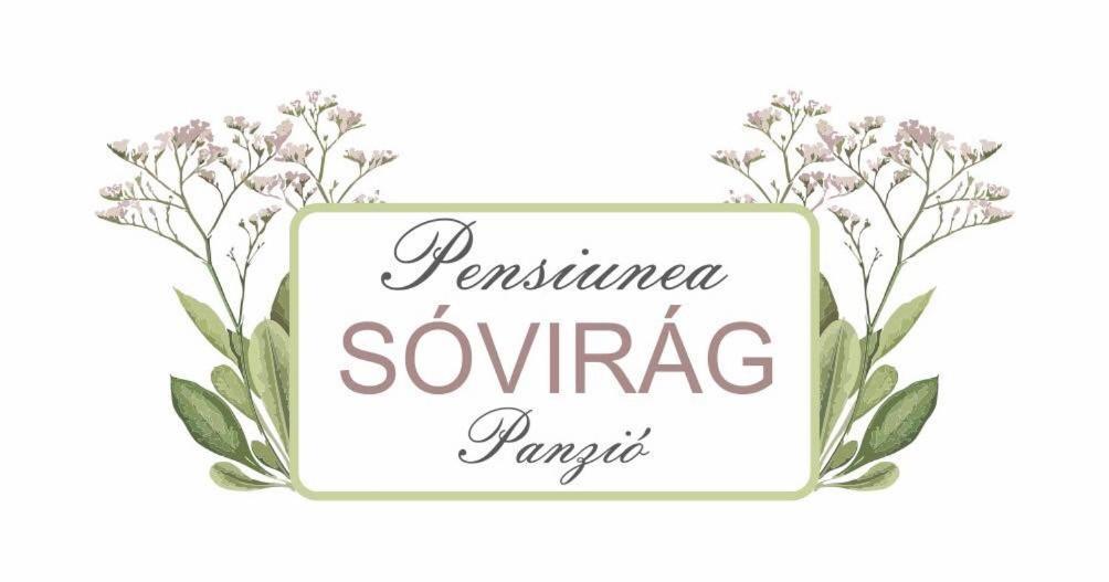 Pensiunea Sovirag Sic Экстерьер фото